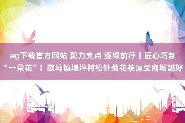 ag下载官方网站 聚力支点 逐绿前行丨匠心巧制“一朵花”！歇马镇堰坪村松针菊花茶深受商场酷好