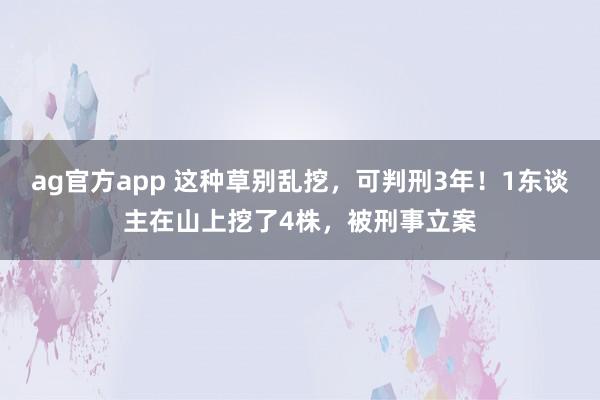 ag官方app 这种草别乱挖，可判刑3年！1东谈主在山上挖了4株，被刑事立案