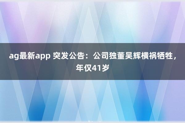 ag最新app 突发公告：公司独董吴辉横祸牺牲，年仅41岁