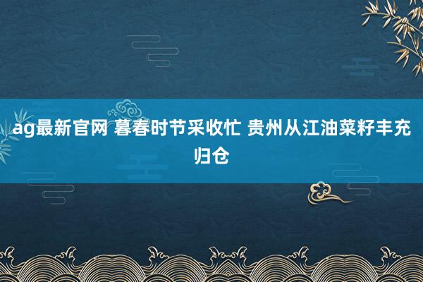 ag最新官网 暮春时节采收忙 贵州从江油菜籽丰充归仓