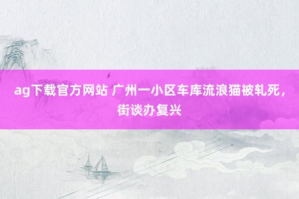 ag下载官方网站 广州一小区车库流浪猫被轧死，街谈办复兴