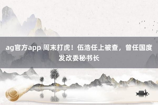 ag官方app 周末打虎！伍浩任上被查，曾任国度发改委秘书长