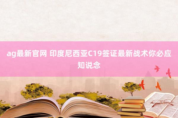 ag最新官网 印度尼西亚C19签证最新战术你必应知说念