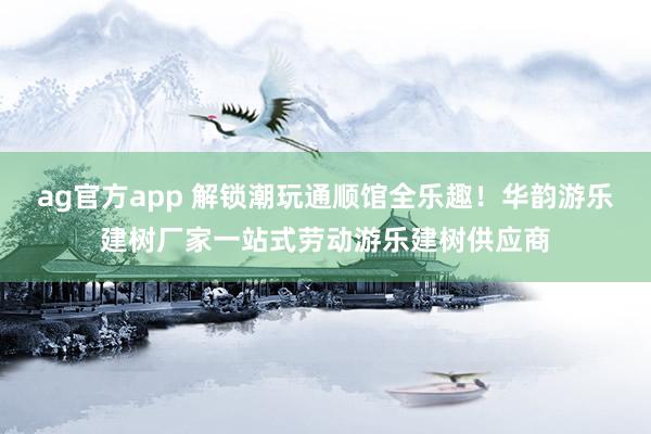ag官方app 解锁潮玩通顺馆全乐趣！华韵游乐建树厂家一站式劳动游乐建树供应商