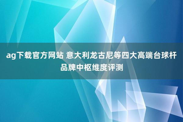 ag下载官方网站 意大利龙古尼等四大高端台球杆品牌中枢维度评测