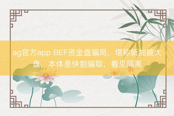 ag官方app BEF资金盘骗局，堪称新加披大盘，本体是快割骗取，看见隔离