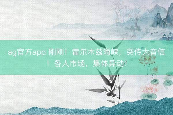 ag官方app 刚刚！霍尔木兹海峡，突传大音信！各人巿场，集体异动！