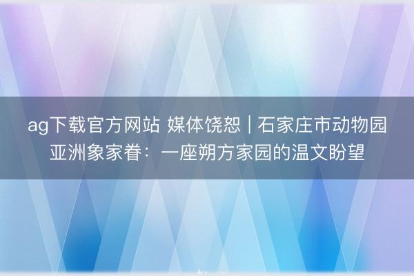 ag下载官方网站 媒体饶恕 | 石家庄市动物园亚洲象家眷：一座朔方家园的温文盼望
