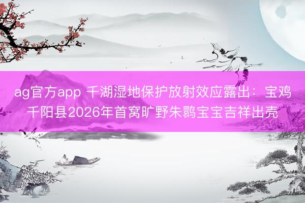 ag官方app 千湖湿地保护放射效应露出：宝鸡千阳县2026年首窝旷野朱鹮宝宝吉祥出壳