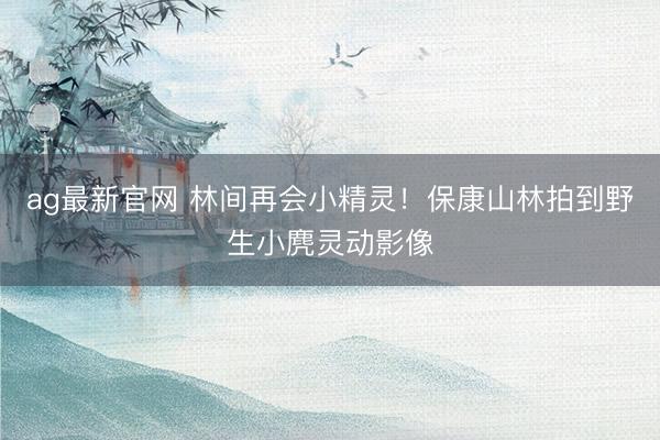 ag最新官网 林间再会小精灵！保康山林拍到野生小麂灵动影像